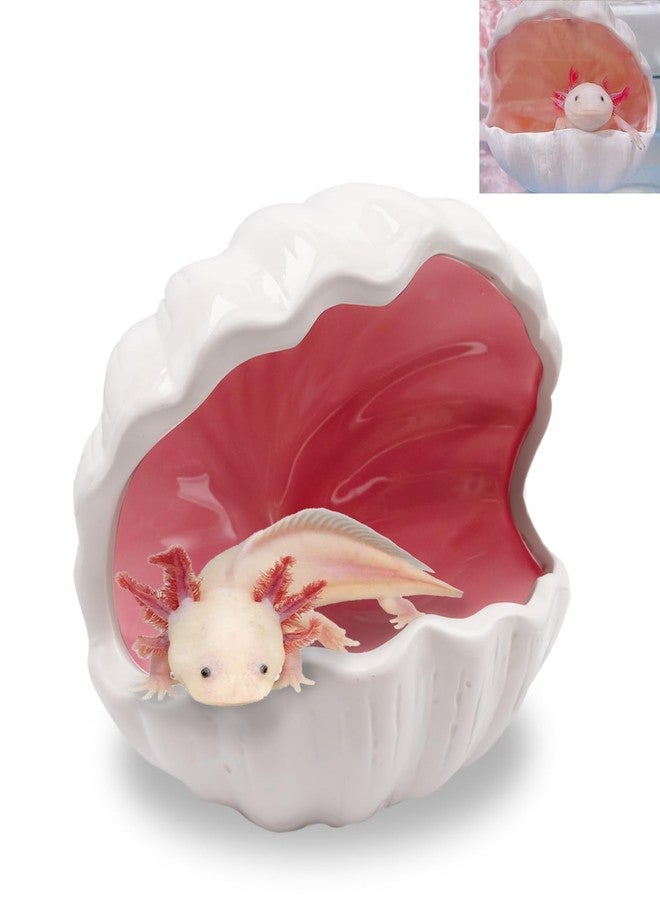 Niuohoy Axolotl Hide Shell Shape Ceramic Fish Tank Cave, Double Sided Glaze, Fish Tank Decor Shelter for Small Pet Frog Fish Betta (Extra Large, Pink) - Image 1